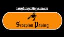 Scorpion Paving logo